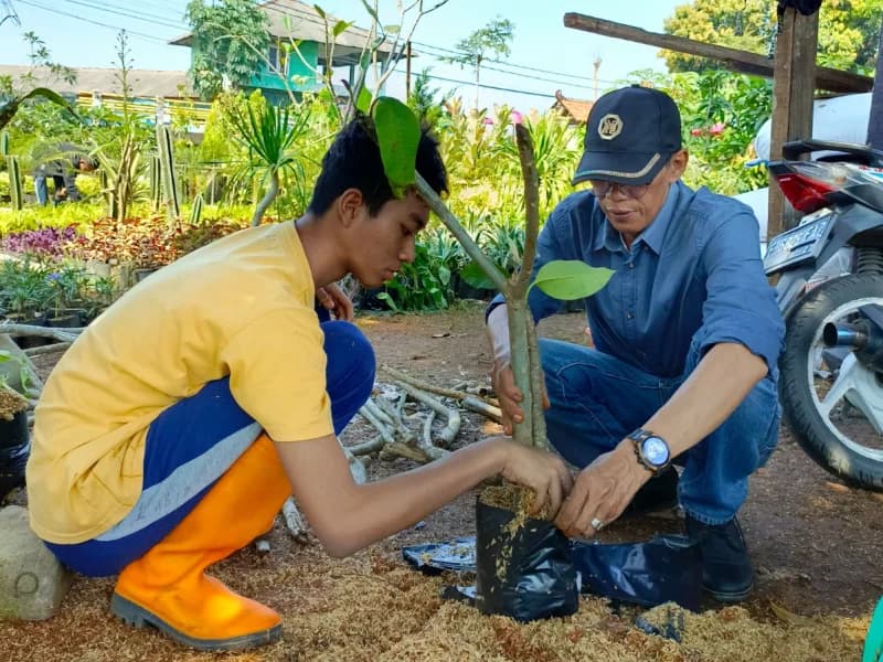 Seorang siswa dan pendamping menanam bibit kamboja ke dalam polybag